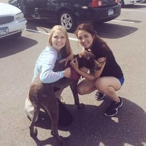 Meet your Posher, Perla